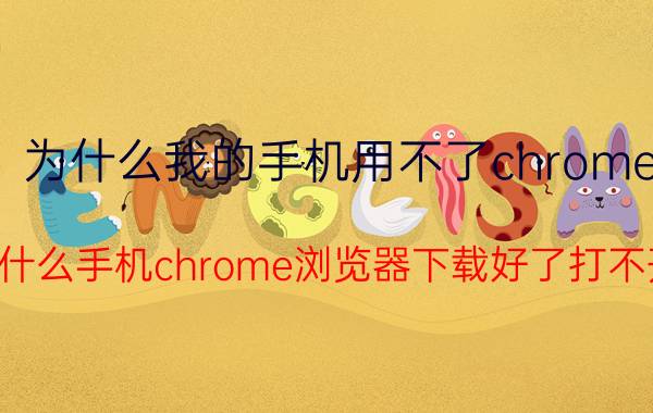 为什么我的手机用不了chrome 为什么手机chrome浏览器下载好了打不开？